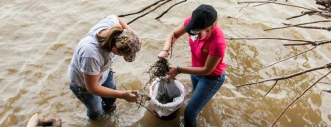 Fishing gear can harm wildlife and humans 
<p>Derelict fishing gear can be harmful to wildlife by entanglement or ingestion so volunteers remove it from the banks for the Maumee River. </p>
