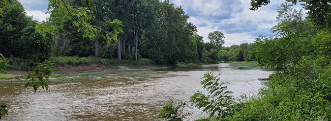 Maumee AOC Advisory Committee
<p>With PCS as the facilitating organization, the MAAC works to create long-term solutions to the area's water quality issues.</p>