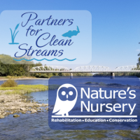 Partnership Natures Nursery Clean up