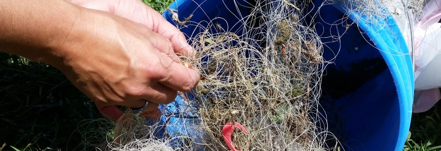 Fishing Line can be recycled
<p>Fishing Line be made into commercial fishing habitat structures when collected properly.</p>