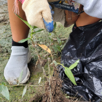 A GLO volunteer removing tangled fishing line at the Maumee Towpath program in July 2022.