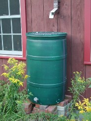 rainbarrelphoto185x246