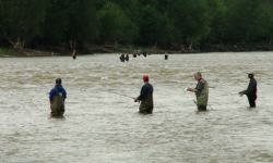 Walleye anglers brave the cold Maumee River waters.