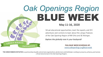 Blue Week General