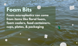 Microplastics Foams