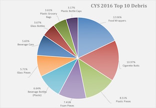 CYSTopTenItems2016