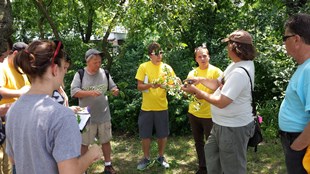 muamee corps looking at plants small